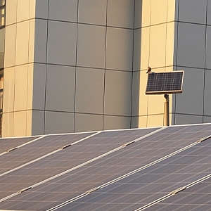 Solar Panels on Roof