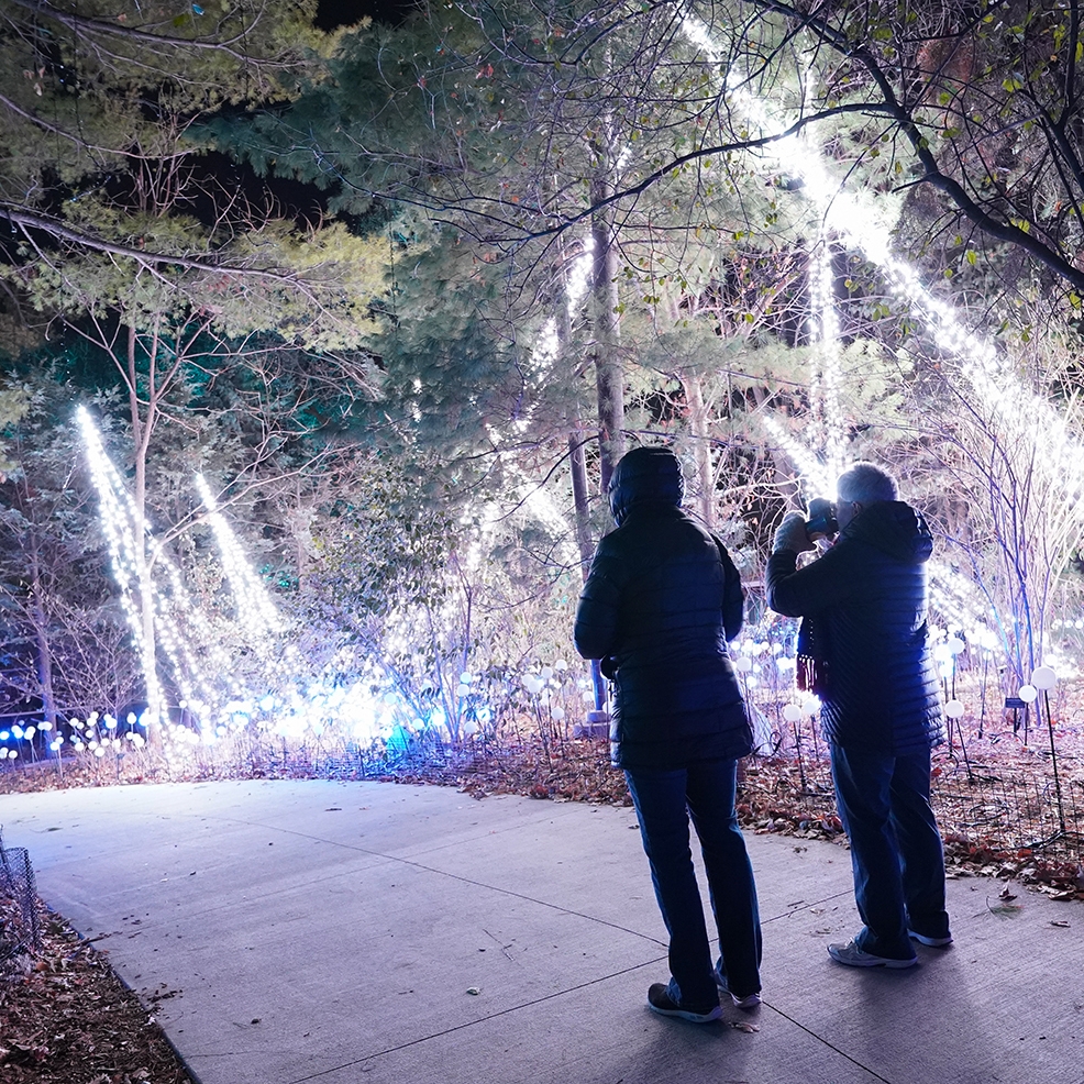 Zoo Lights Powered by LES