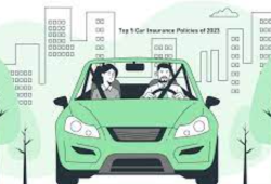 Auto Insurance – Saves You Huge Expenses And Offers Legal Protection